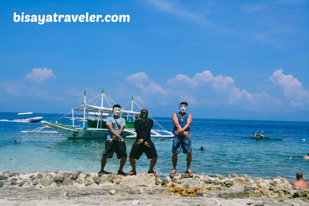 Pescador Island and Sardines Run: Cebu's Underwater Spectacles