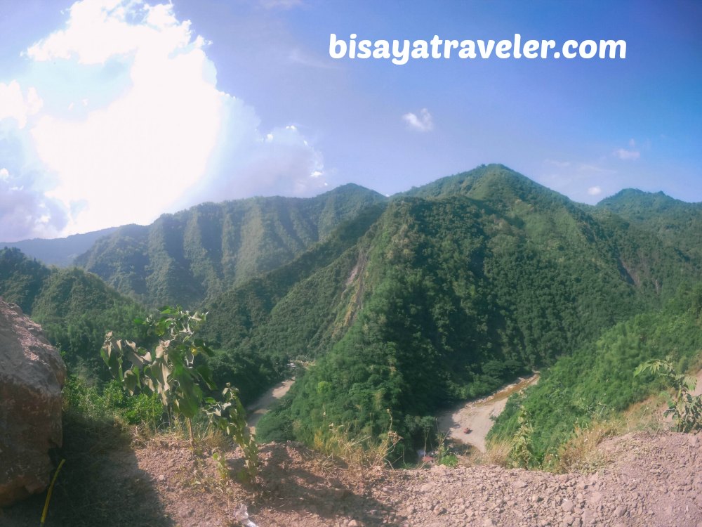 Campo 7 Man-Made Forest: A Mysterious Eye-opening Experience In Cebu  