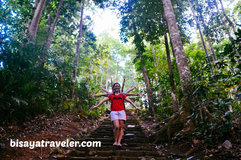 Campo 7 Man-Made Forest: A Mysterious Eye-opening Experience In Cebu  