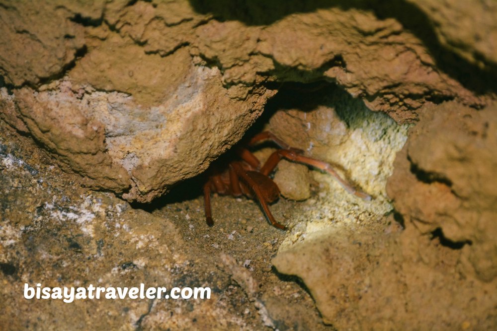 Eagle’s Cave: A Mystical Labyrinth Full Of Thrills And Spills