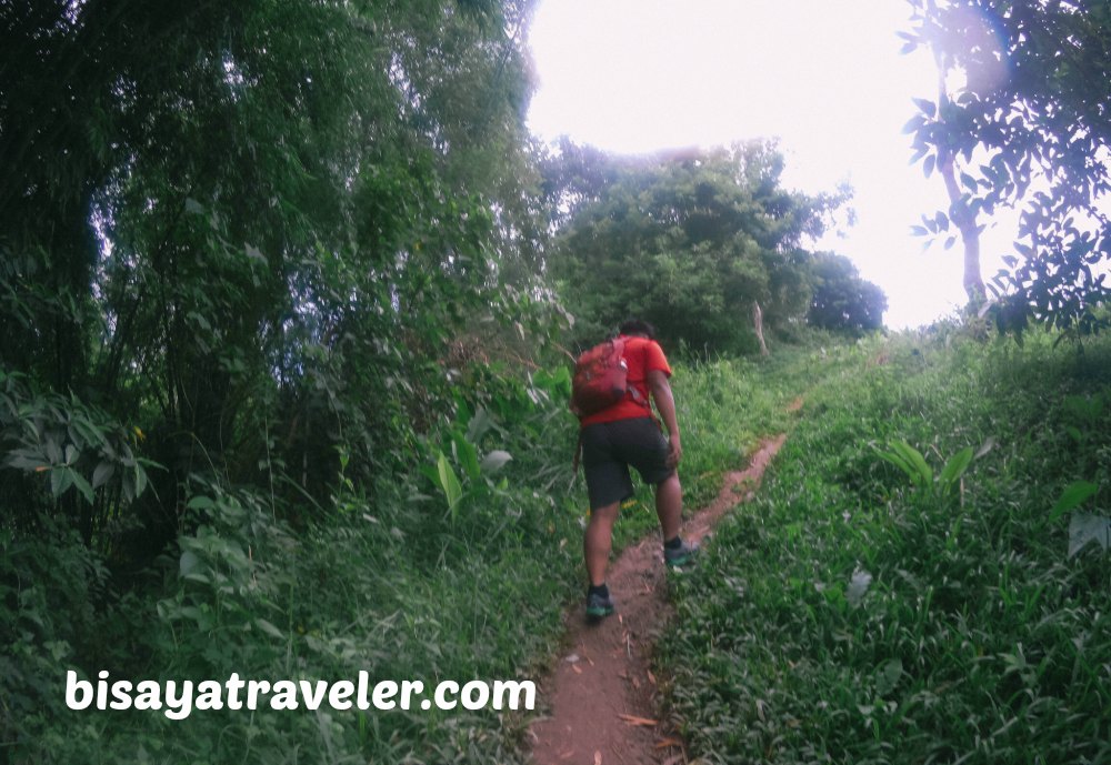 Mount Kalbasaan: Hiking A Scenic Yet Overlooked Trail In Cebu