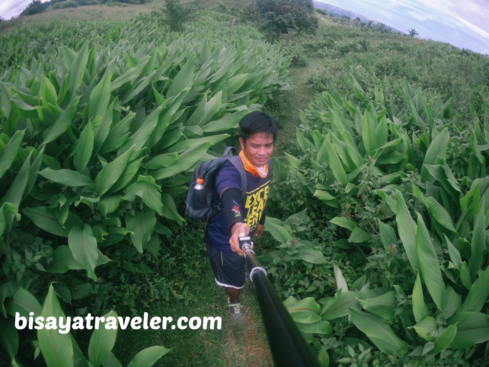 Mount Kalbasaan: Hiking A Scenic Yet Overlooked Trail In Cebu