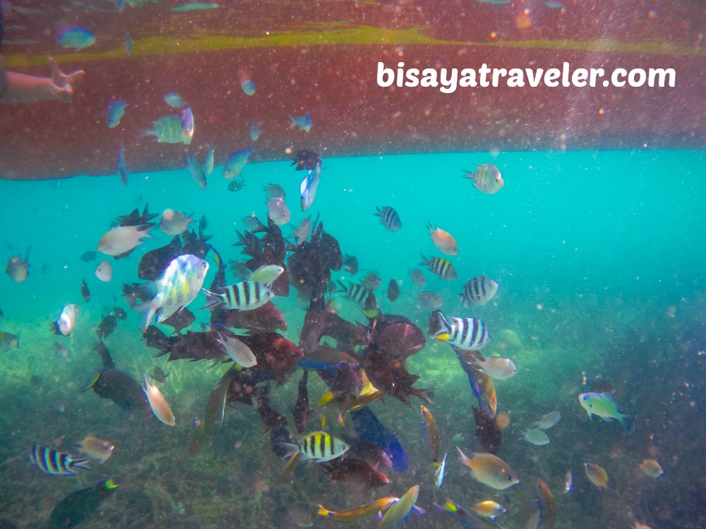 Kayangan Lake: Coron’s Most Visually Enticing Natural Wonder