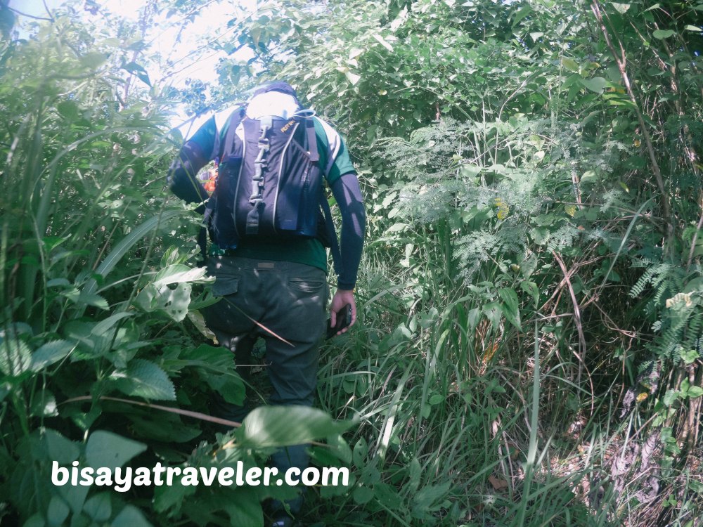 Spartan Trail: Conquering Another Tough Adventure Playground In Cebu