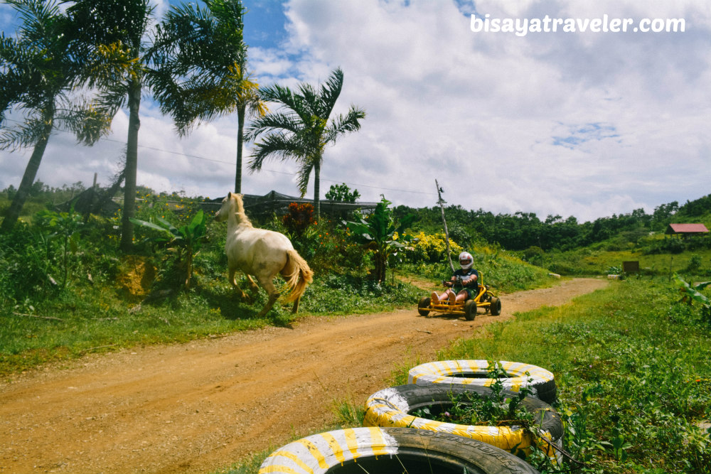 Danasan Eco Adventure Park: Cebu’s Ultimate Wonderland For Adventurists