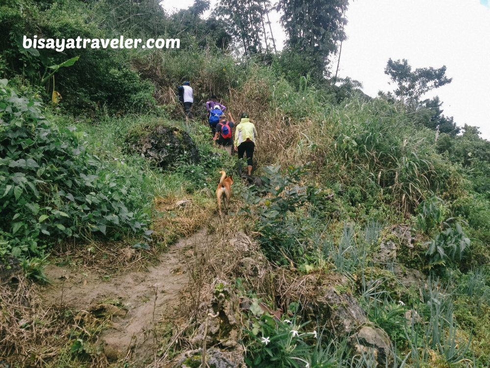 Osmeña Peak To Kawasan Falls: A Team Bang Pioneer’s Farewell Hike