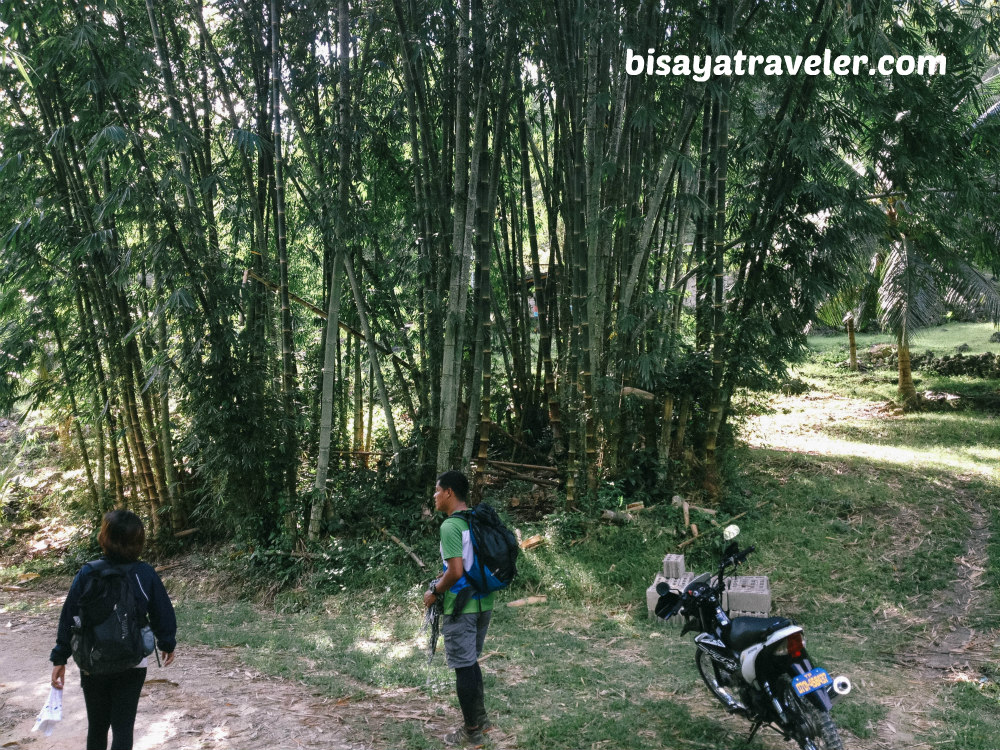 Osmeña Peak To Kawasan Falls: A Team Bang Pioneer’s Farewell Hike