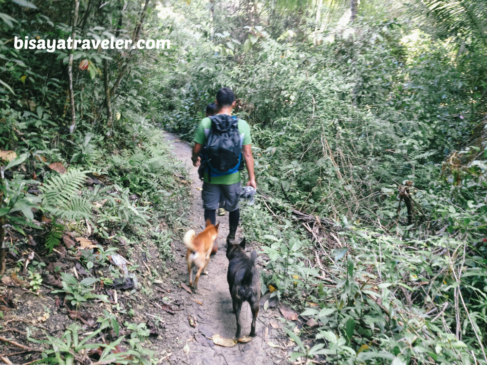 Osmeña Peak To Kawasan Falls: A Team Bang Pioneer’s Farewell Hike