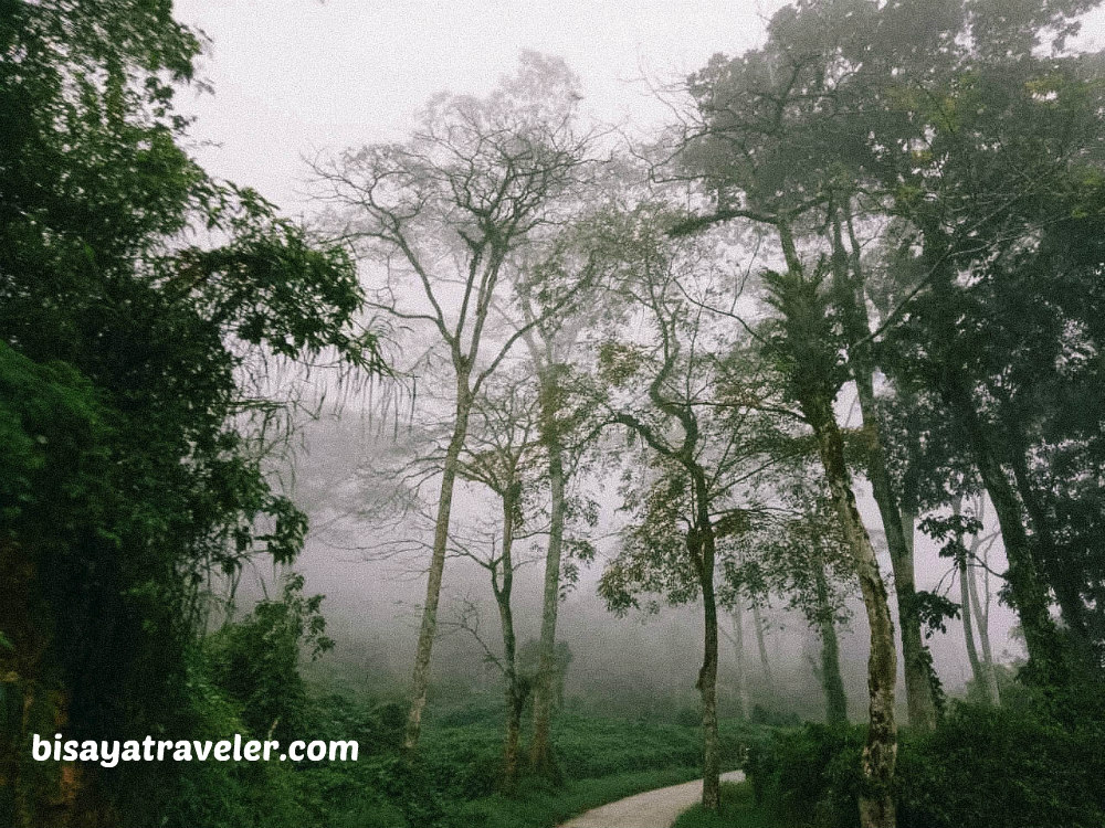 Osmeña Peak To Kawasan Falls: A Team Bang Pioneer’s Farewell Hike