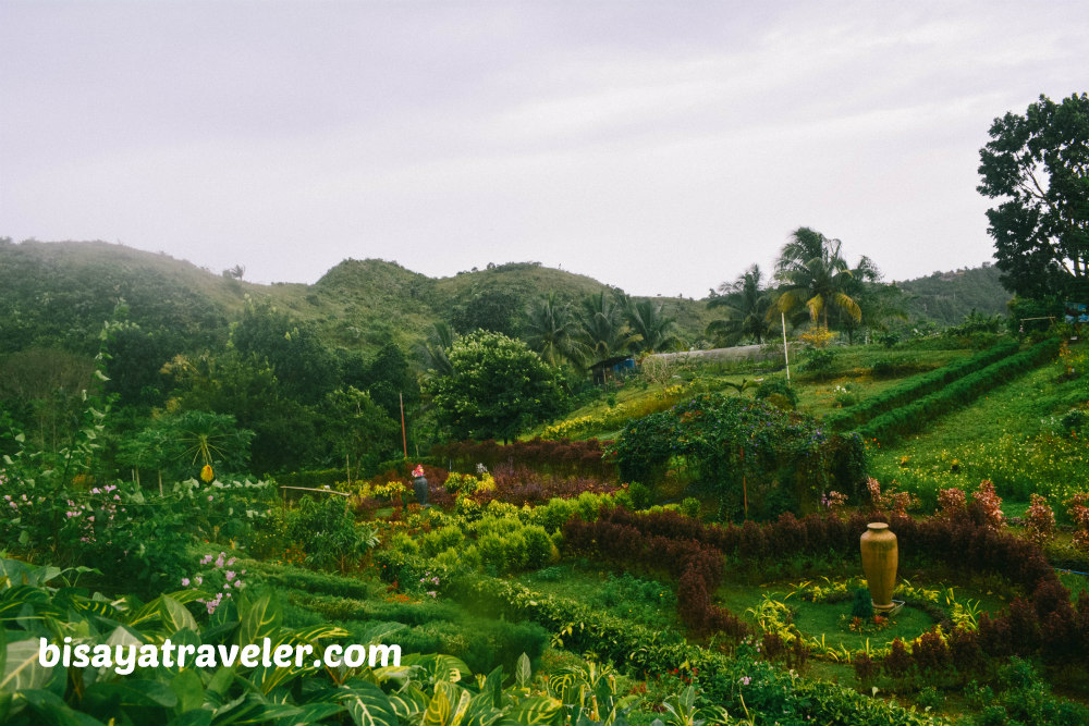 AO Farm: A Fascinating 20-Peso Getaway To Toong, Cebu