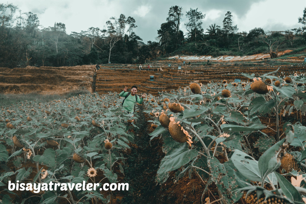 Techno Demo Farm: The Perfect Appetizer To A Scenic Dalaguete Adventure