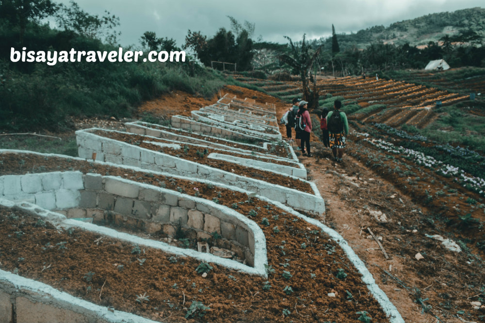 Techno Demo Farm: The Perfect Appetizer To A Scenic Dalaguete Adventure