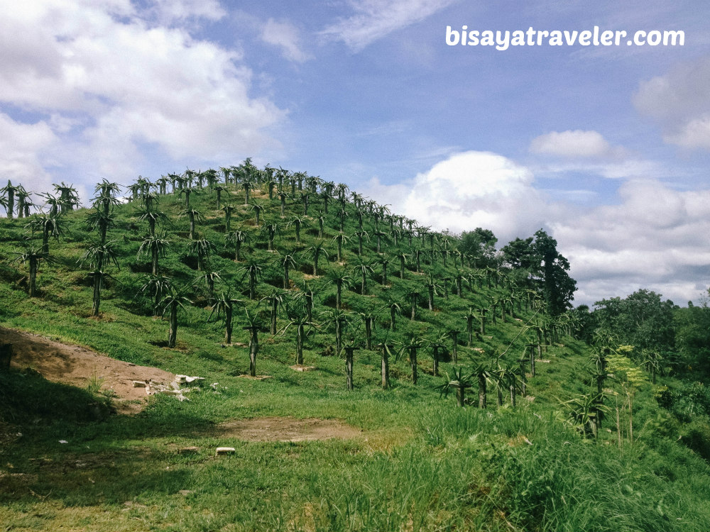 Kangcaramel Cave: Exploring An Offbeat, Underrated Cavern In Baclayon, Bohol