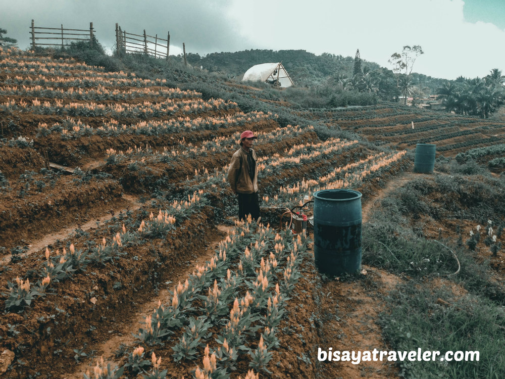 Techno Demo Farm: The Perfect Appetizer To A Scenic Dalaguete Adventure