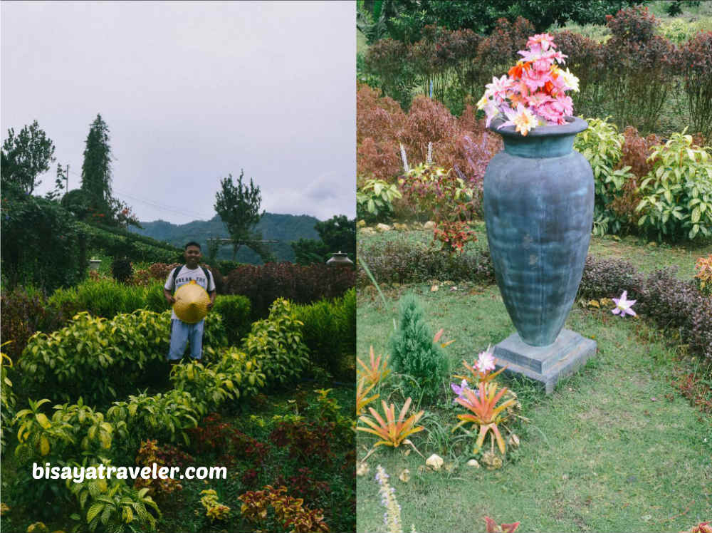 AO Farm: A Fascinating 20-Peso Getaway To Toong, Cebu