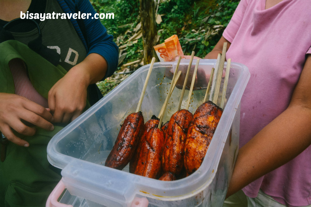 Mount Bandilaan And Mount Alpaco: The Beauty Of An Unplanned Adventure