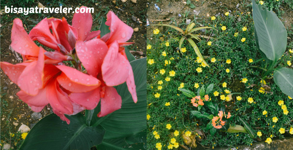 Mount Bandilaan And Mount Alpaco: The Beauty Of An Unplanned Adventure