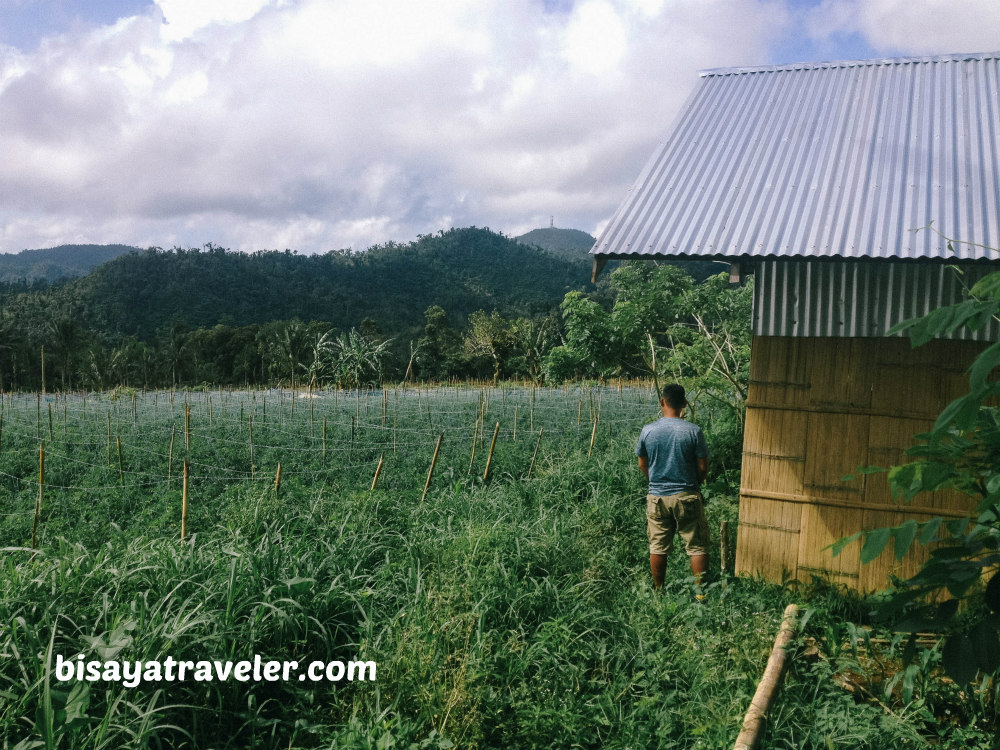 Alto Peak: Conquering The Treacherous Highest Summit Of Eastern Visayas   