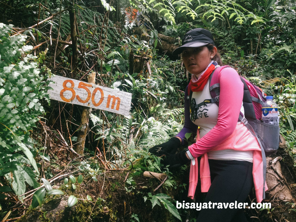 Alto Peak: Conquering The Treacherous Highest Summit Of Eastern Visayas   