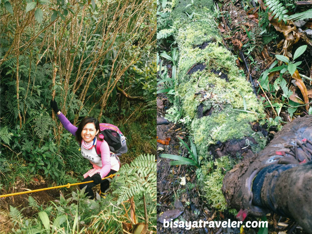 Alto Peak: Conquering The Treacherous Highest Summit Of Eastern Visayas   