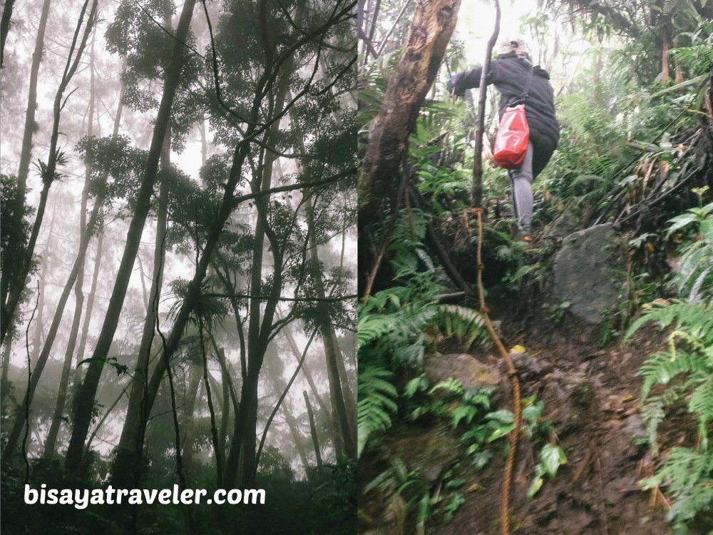 Alto Peak: Conquering The Treacherous Highest Summit Of Eastern Visayas   