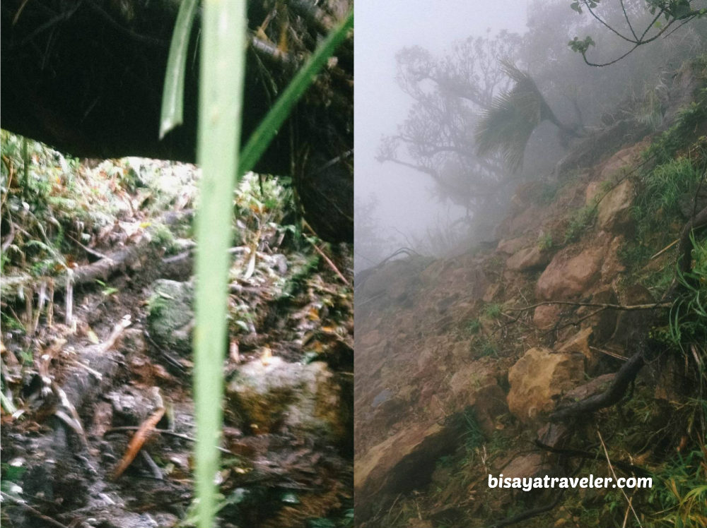 Alto Peak: Conquering The Treacherous Highest Summit Of Eastern Visayas   