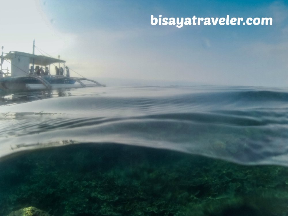 Pescador Island and Sardines Run: Cebu's Underwater Spectacles