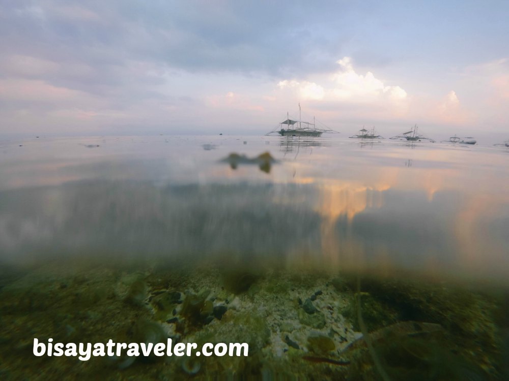 Pescador Island and Sardines Run: Cebu's Underwater Spectacles