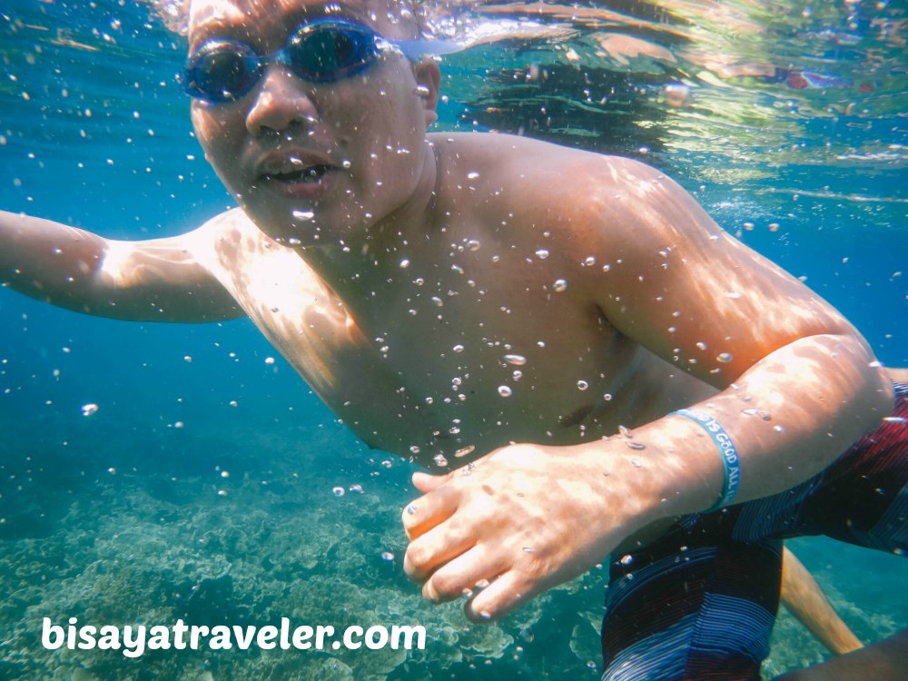 Pescador Island and Sardines Run: Cebu's Underwater Spectacles