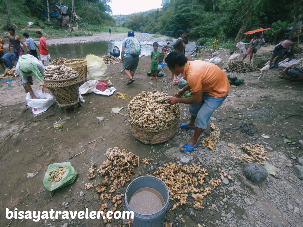 New Bucao: A Gritty, Muddy Uphill Climb To Toledo’s Unsung Mountain