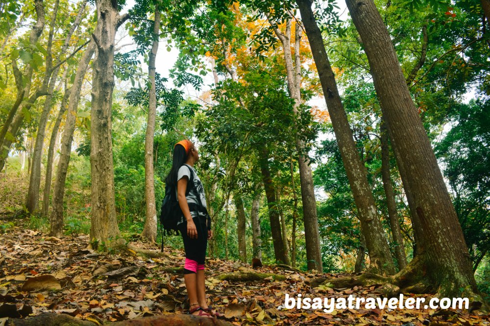 Bocaue Peak: A Surprisingly Fun Unplanned Hike From Quiot, Pardo