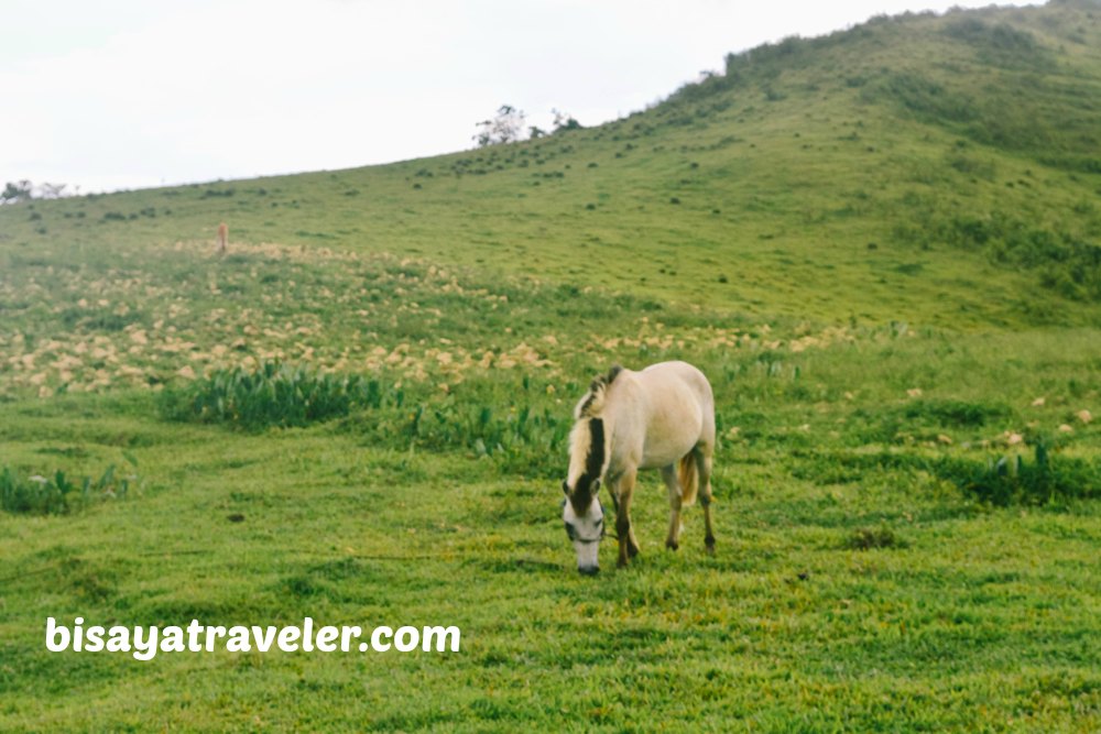 Mount Tagaytay: A Picture-Perfect Peak With Awe-Inspiring Panoramas