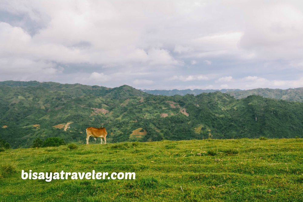 Mount Tagaytay: A Picture-Perfect Peak With Awe-Inspiring Panoramas