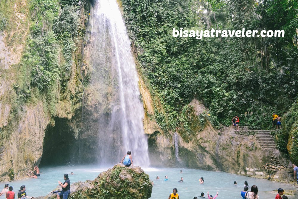 Pescador Island and Sardines Run: Cebu's Underwater Spectacles