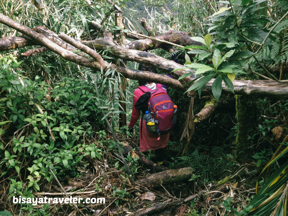 Alto Peak: Conquering The Treacherous Highest Summit Of Eastern Visayas   