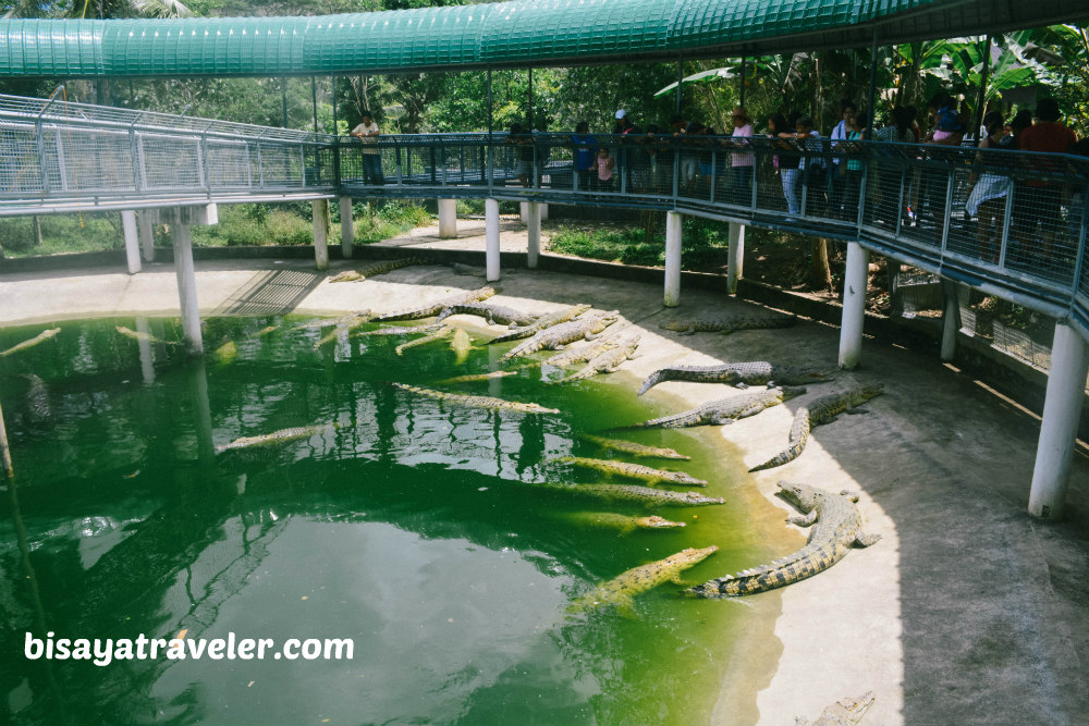 Cebu Safari And Adventure Park: An Irresistible Up-And-Coming Wildlife Haven