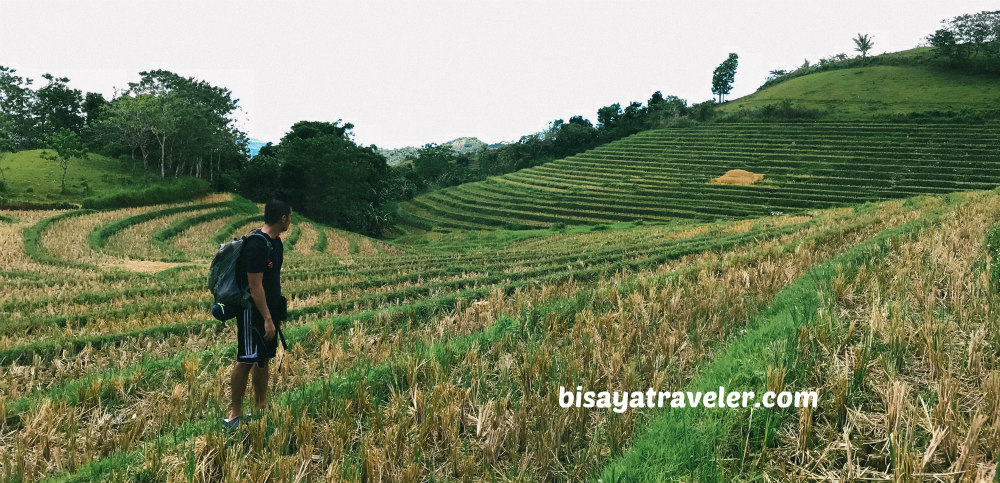 Cadapdapan Rice Terraces And Can-Umantad Falls: Bohol’s Insanely Enchanting Combo