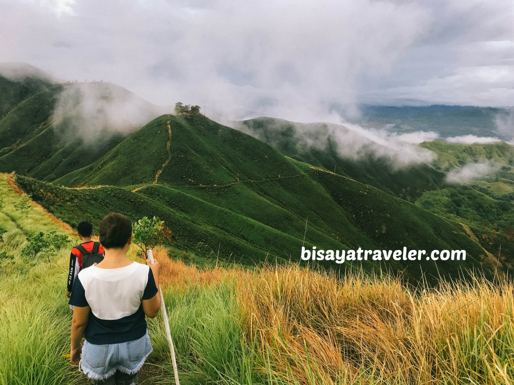 Binabaje Hills, Bohol: Soaking Up Alicia’s Strikingly Surreal Beauty 