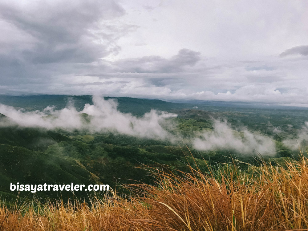 Binabaje Hills, Bohol: Soaking Up Alicia’s Strikingly Surreal Beauty 