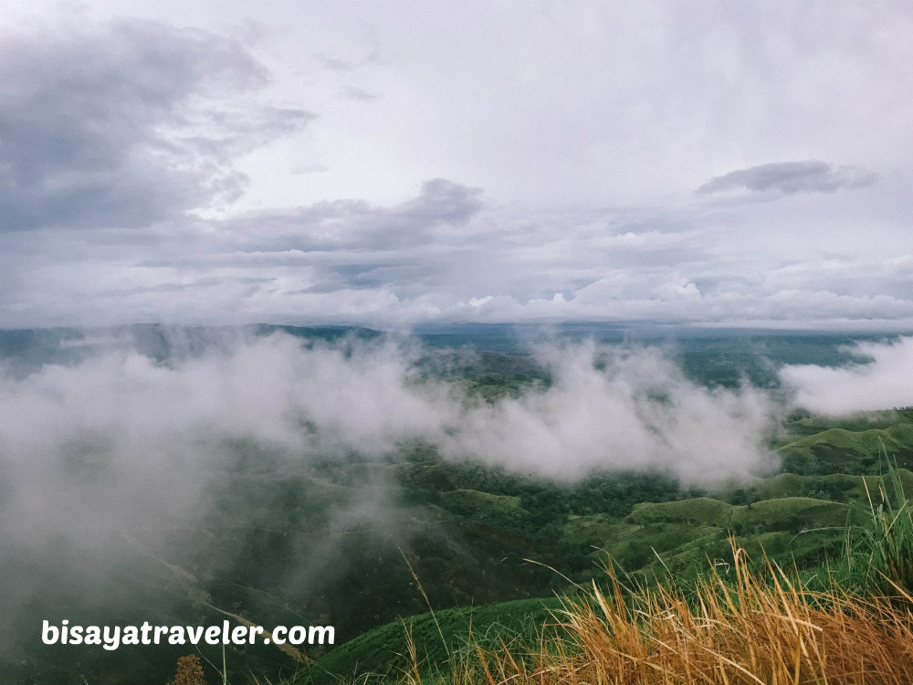 Binabaje Hills, Bohol: Soaking Up Alicia’s Strikingly Surreal Beauty 