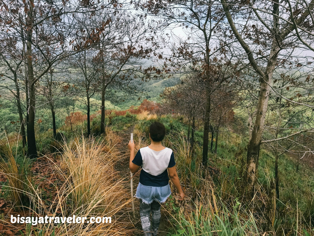 Binabaje Hills, Bohol: Soaking Up Alicia’s Strikingly Surreal Beauty 