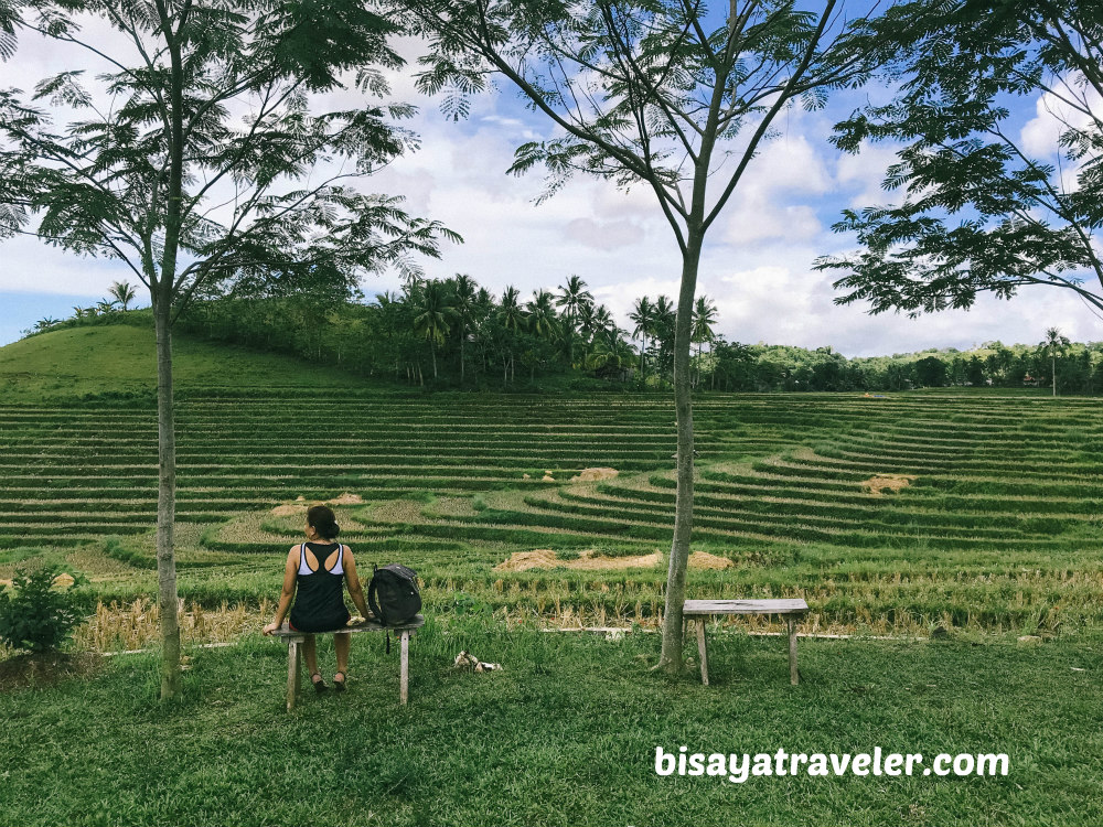 Binabaje Hills, Bohol: Soaking Up Alicia’s Strikingly Surreal Beauty 