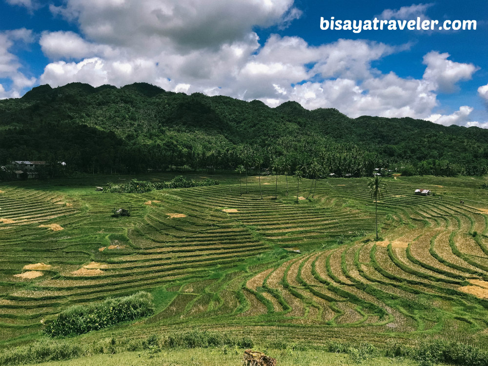 Cadapdapan Rice Terraces And Can-Umantad Falls: Bohol’s Insanely Enchanting Combo