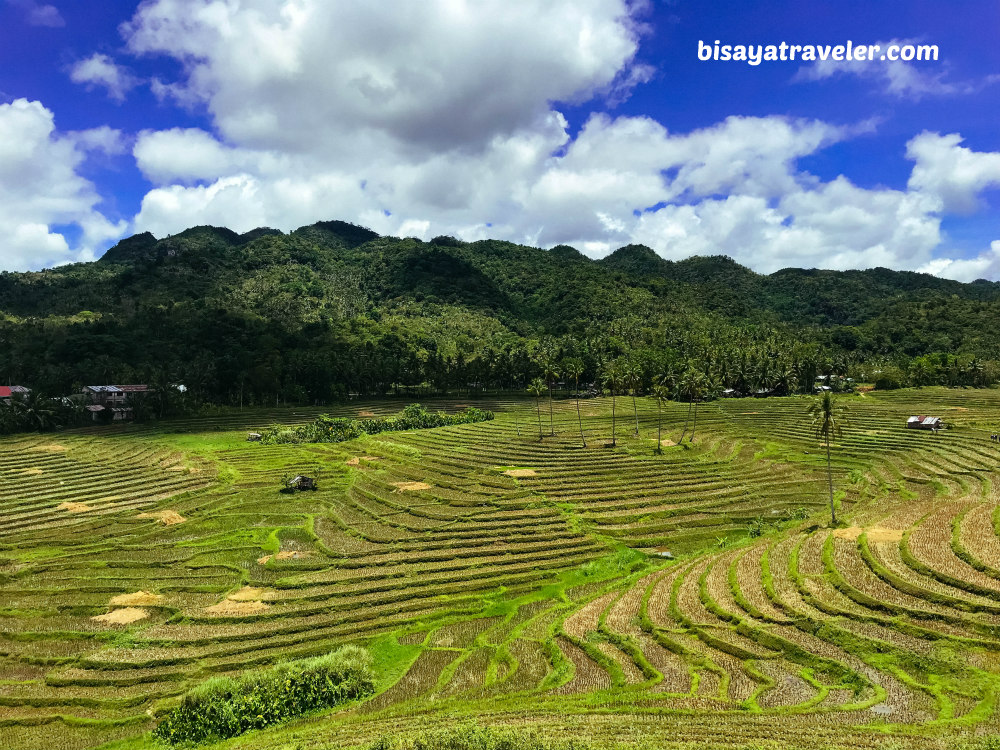 Cadapdapan Rice Terraces And Can-Umantad Falls: Bohol’s Insanely Enchanting Combo