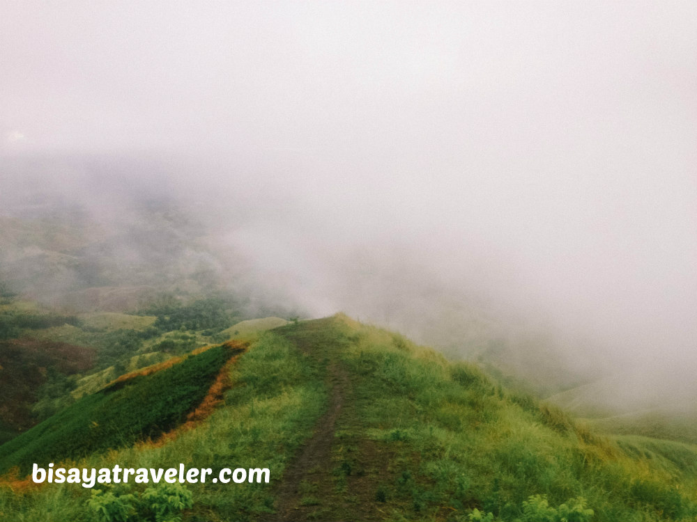 Binabaje Hills, Bohol: Soaking Up Alicia’s Strikingly Surreal Beauty 