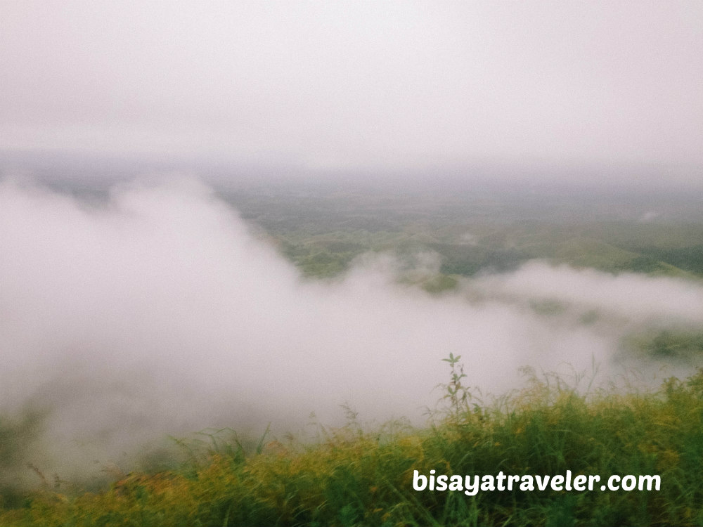 Binabaje Hills, Bohol: Soaking Up Alicia’s Strikingly Surreal Beauty 