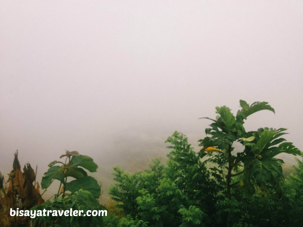 Binabaje Hills, Bohol: Soaking Up Alicia’s Strikingly Surreal Beauty 