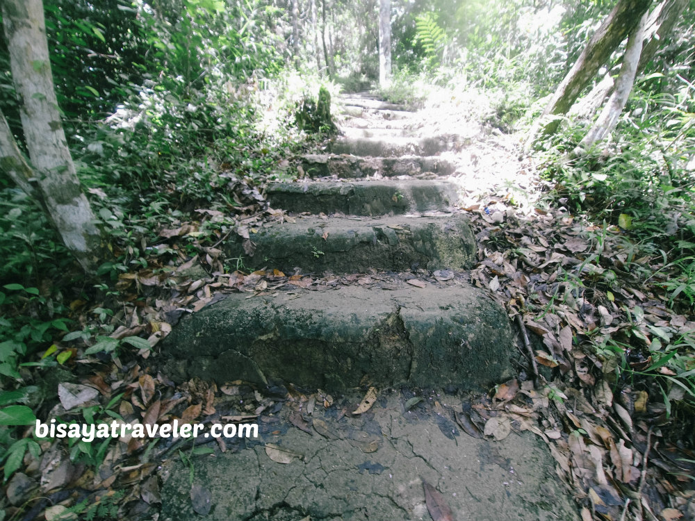 Cadapdapan Rice Terraces And Can-Umantad Falls: Bohol’s Insanely Enchanting Combo