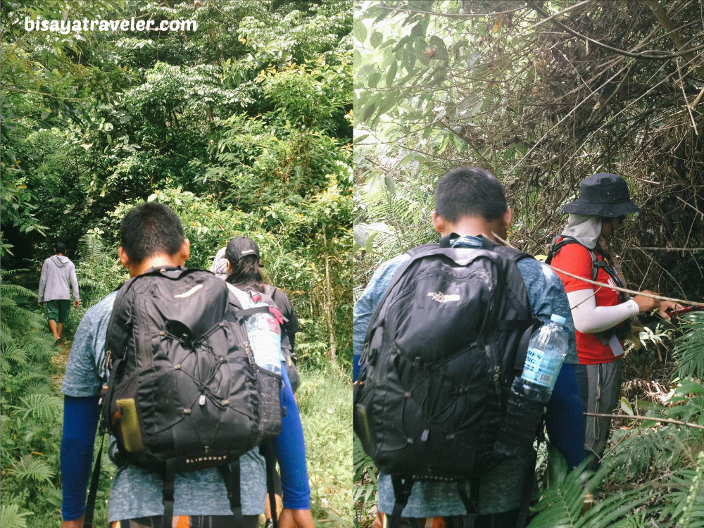 Mayana Peak And Batogag Banog: An Intrepid Hiker’s Utopia