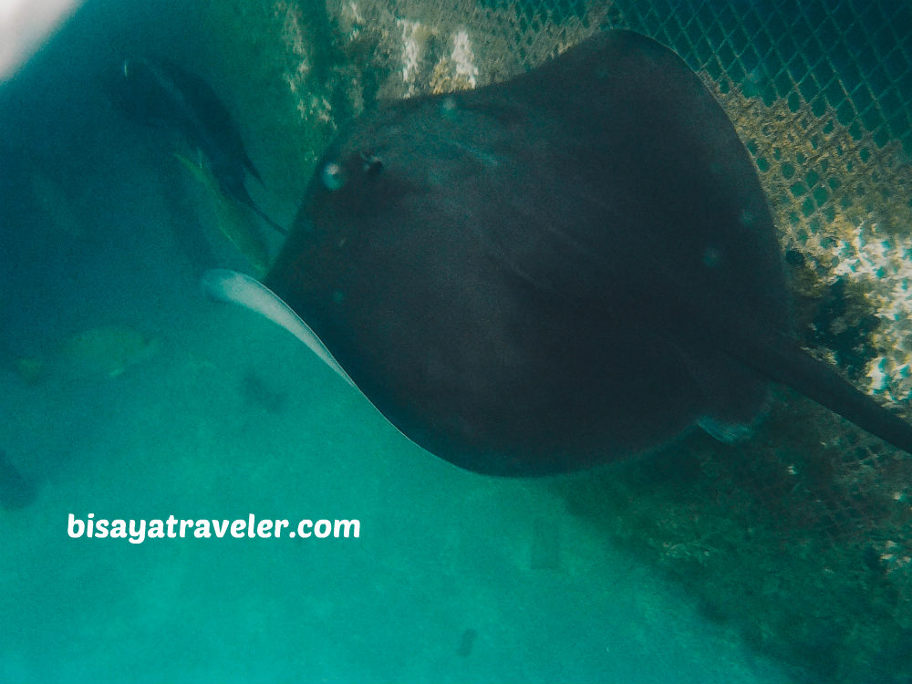 Tinuy-an Falls And Enchanted River: I’m Addicted To Surigao del Sur 